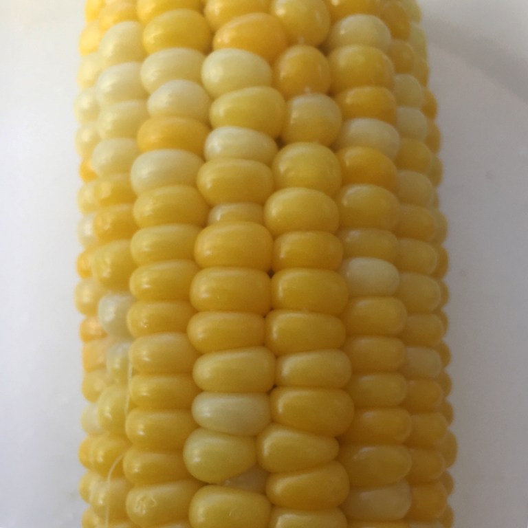 corn