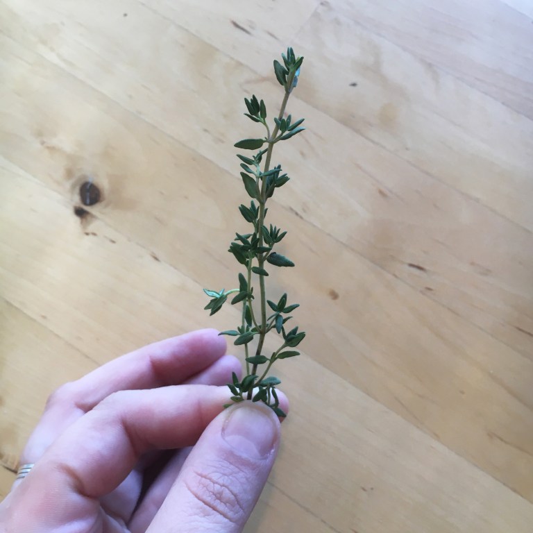 thyme